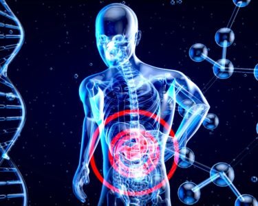 metabolism-definition-and-how-it-works