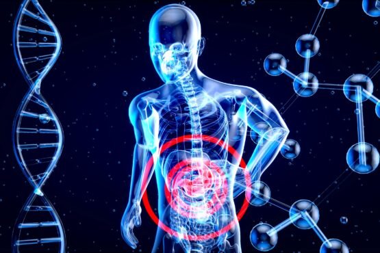 metabolism-definition-and-how-it-works