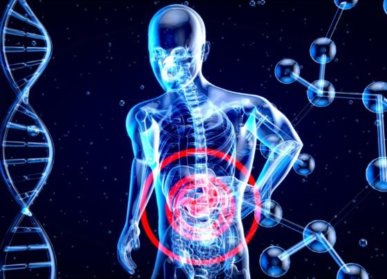 metabolism-definition-and-how-it-works