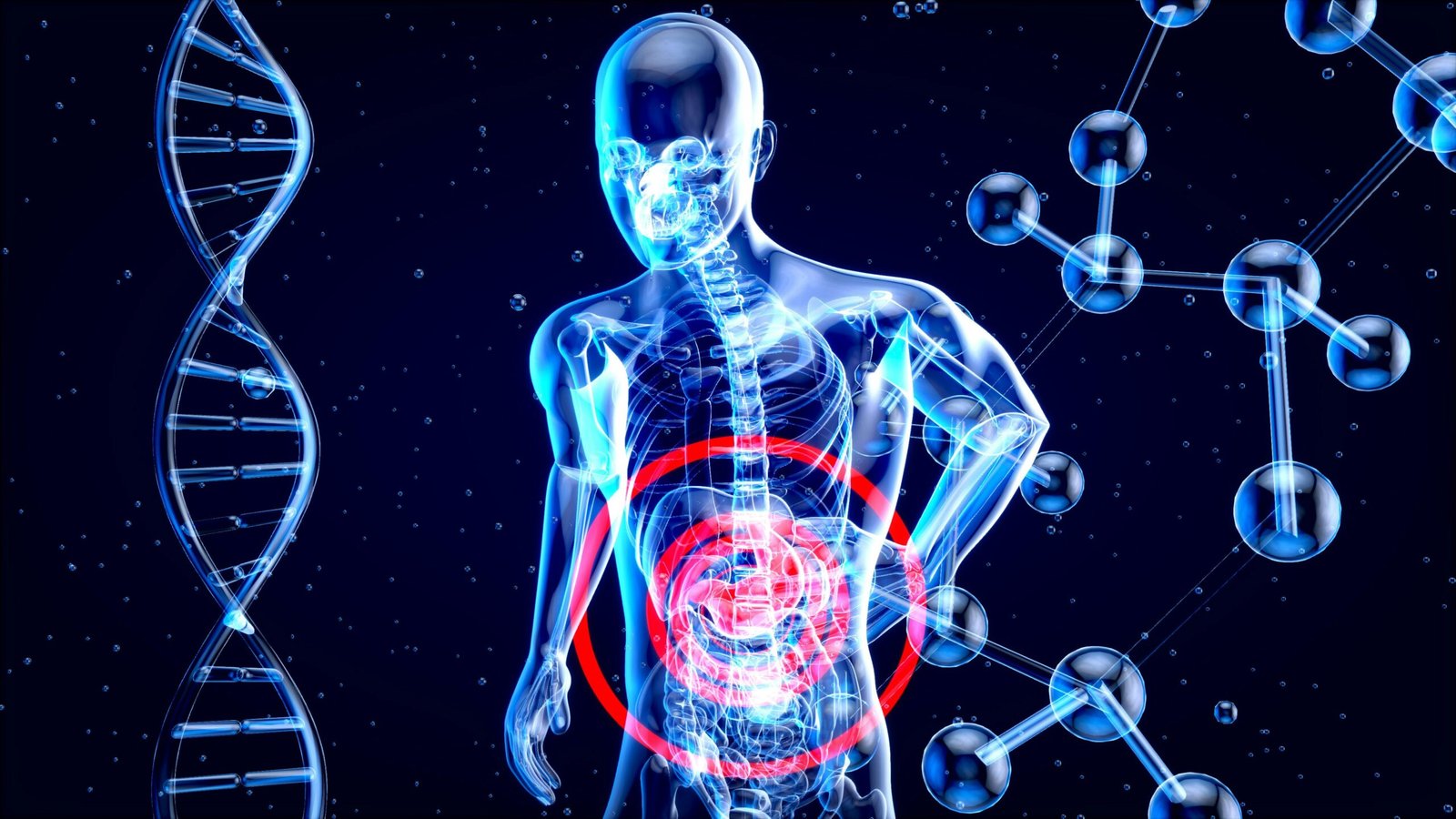 What is Metabolism? The Ultimate Guide to Your Body’s Energy Engine